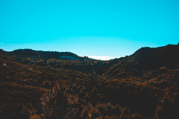 some forest mountains with copy space in the sky