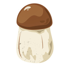 Tricholoma edible mushroom, vector illustration