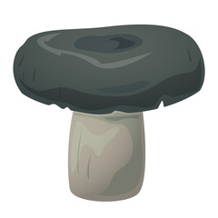 Lactarius edible mushroom, vector illustration