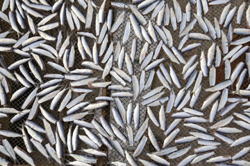 Sun dried salted fish before cooking sell in the market in Thailand