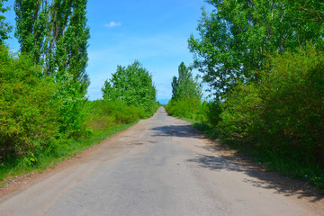 Fototapeta na wymiar road with tree