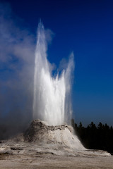 High eruption of Castle geyser in Yellowstone national park