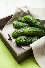 Agriculture cucumber harvest background. Fresh salad.