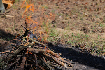 The fire burns in the forest on a bright day