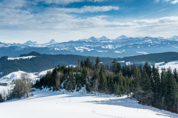 Fototapeta na wymiar Aussicht im Winter auf die Berner Alpen vom Aebersold, Linden, Schweiz