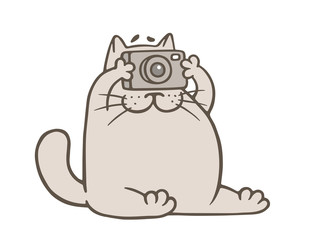 cute gray cat with camera. vector illustration