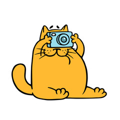 Cartoon orange cat with camera is taking pictures. Vector illustration