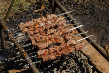 Shish kebab roast on charcoal. Shish kebab on skewers in the forest.