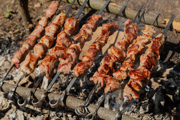 Shish kebab roast on charcoal. Shish kebab on skewers in the forest.