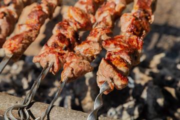 Shish kebab roast on charcoal. Shish kebab on skewers in the forest.