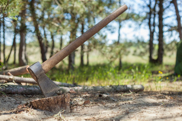 Ax with a long hatchet in a hemp on the background of the forest