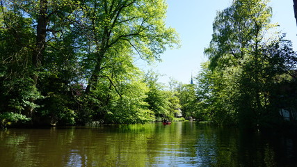 Fototapeta na wymiar Fluss, Gewässer in Hamburg - die Bille