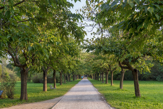 Parco Nord in Milan at fall