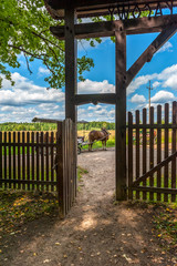 brama wejściowa do Parku Narodowego w Białowieży. W tle widać konia z wozem - obrazy, fototapety, plakaty