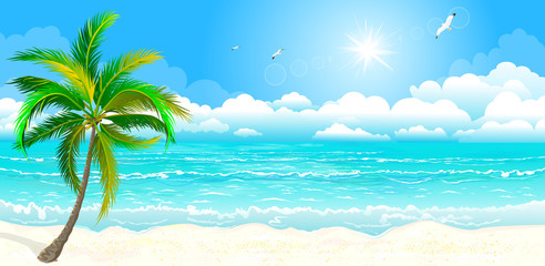 Fototapeta na wymiar The tropical coast, Palm tree against the sky, the sea and the sun