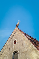 Bocian siedzący na skraju dachu