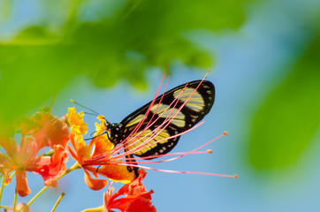  wonderful and mysterious macro world.