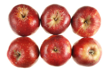 Sechs rote Äpfel Aufsicht Freisteller isoliert