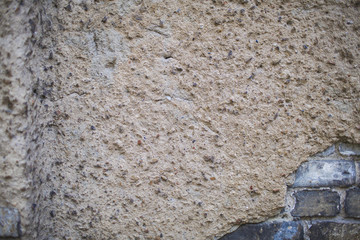 A ruined wall with copy space