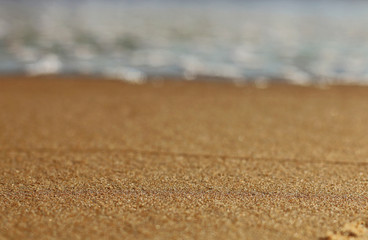 Shore of the sea in summer