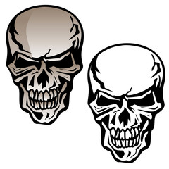 Human Skull Isolated Vector Illustration