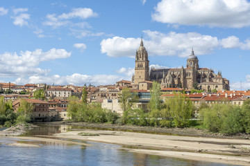 Fototapeta na wymiar Catedrales de Salamanca desde la orilla del rio Tormes 