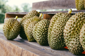 Durian in the market fruit is large and spiky, covered throughout the shell