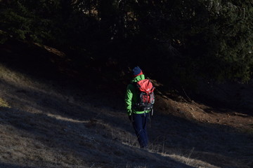 Obraz premium ascoltando il bosco