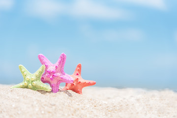 Fototapeta na wymiar Closed up on colorful starfish,beautiful sea shells on the seashore with blue sky background. Vacation and summer conceptual.