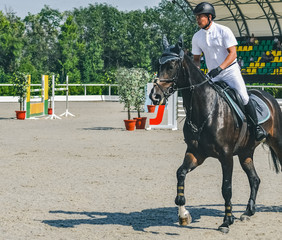 Showjumping competition, bay horse and rider in white uniform performing jump over the bridle....
