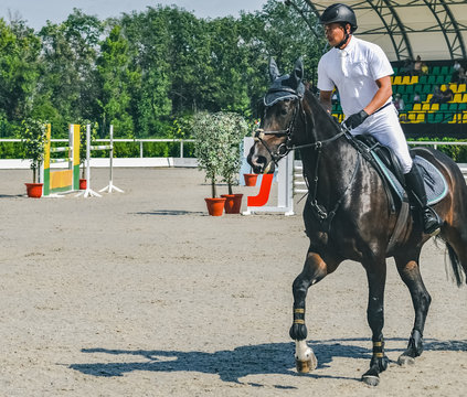 Showjumping competition, bay horse and rider in white uniform performing jump over the bridle. Equestrian sport background. Beautiful horse portrait during show jumping competition.