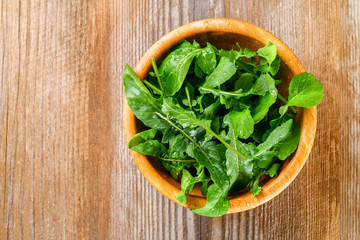 Fresh green home arugula leaves, rucola. Salad.