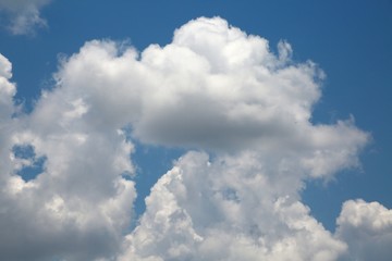 Fluffy Billowy Cumulus Clouds in the Blue Summer Sky in Florida
