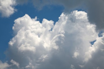 Fluffy Billowy White and Gray Cumulus Clouds in the Blue Summer Sky in Florida