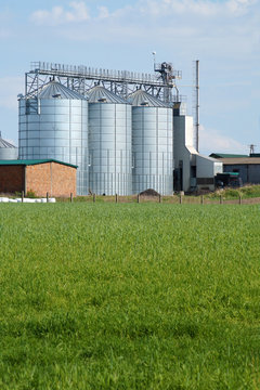 Silos For Animal Feed. A Feed Mixer In A Large Farm.