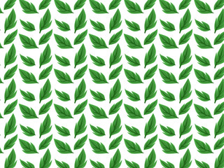 leaves seamless pattern with white background 