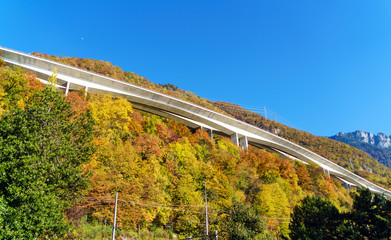 Overpass passing through the picturesque Alpine forest, Montreux, Switzerland