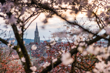 Aussicht auf die Stadt Bern im Frühling