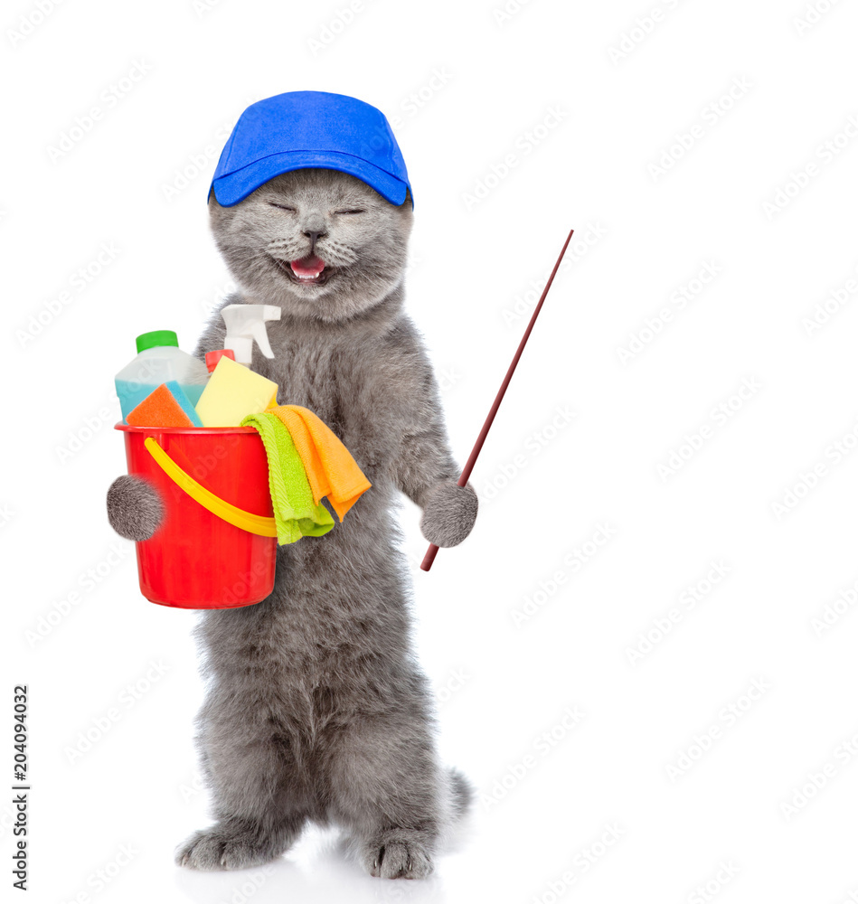Poster Cleaning concept. Happy kitten holds bucket with washing fluids and pointing stick. isolated on white background
