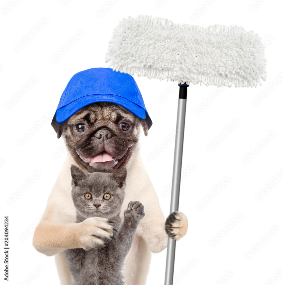 Poster cleaning concept. cat and dog in blue hats holds mop in paw. isolated on white background