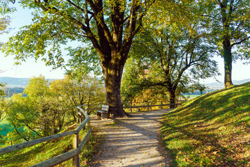 Fototapeta na wymiar Picturesque autumn landscape with bench and oak, Gruyeres, Switzerland