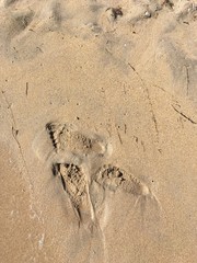 Footprint 
