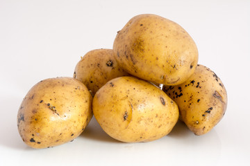 potato tubers