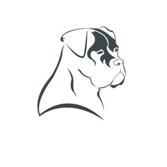 Icon dog head Сane Corso, logo element. Vector illustration. 