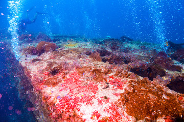 ship wreck underwater