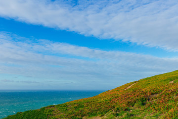 hilly coast with green grass and beautiful sea views