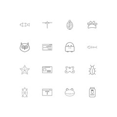 Animals linear thin icons set. Outlined simple vector icons