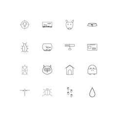 Animals linear thin icons set. Outlined simple vector icons