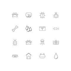 Animals linear thin icons set. Outlined simple vector icons