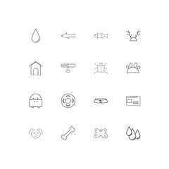 Animals linear thin icons set. Outlined simple vector icons